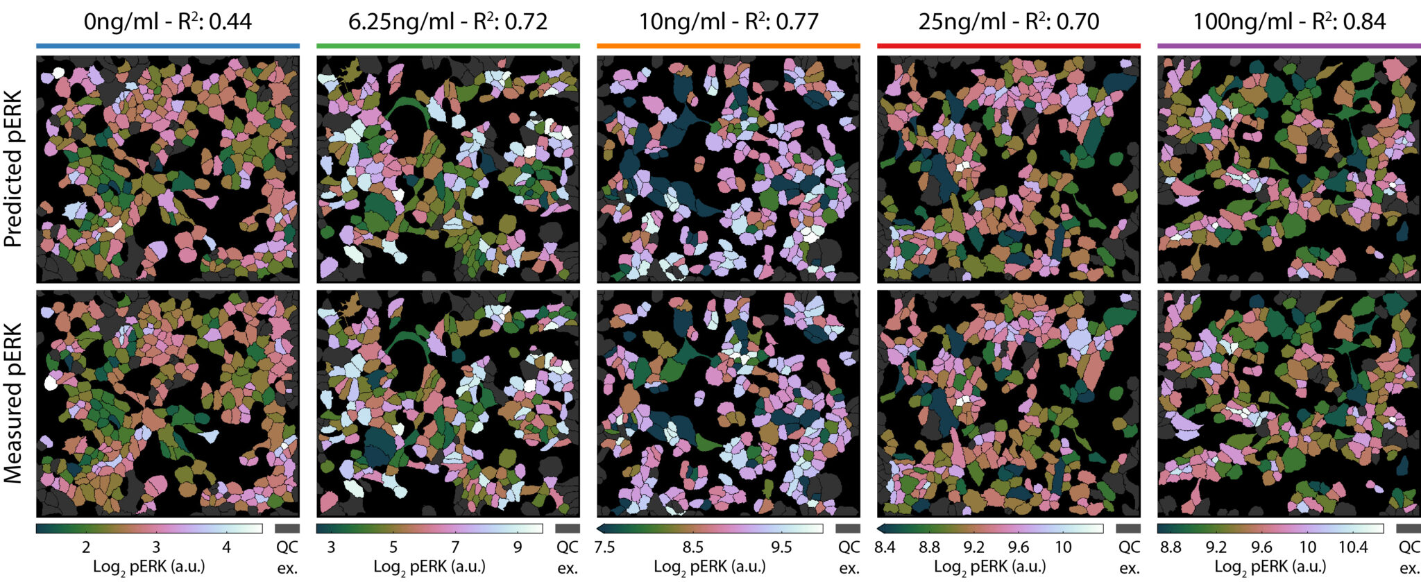 learning for single cell assignment